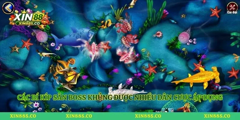 Các bí kíp săn boss khủng được nhiều dân cược áp dụng