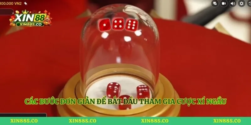 Các bước đơn giản để bắt đầu tham gia cược xí ngầu