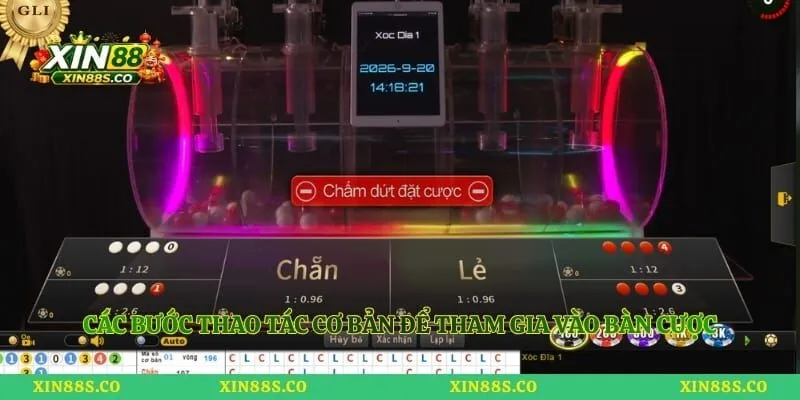 Các bước thao tác cơ bản để tham gia vào bàn cược