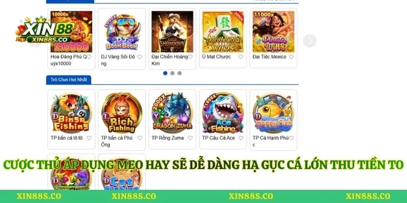 Cược thủ áp dụng mẹo hay sẽ dễ dàng hạ gục cá lớn thu tiền to