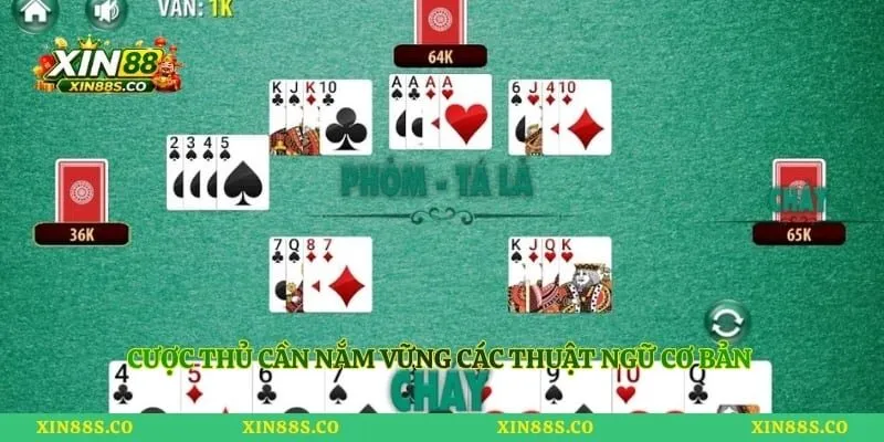 Cược thủ cần nắm vững các thuật ngữ cơ bản để đánh bài hiệu quả nhất