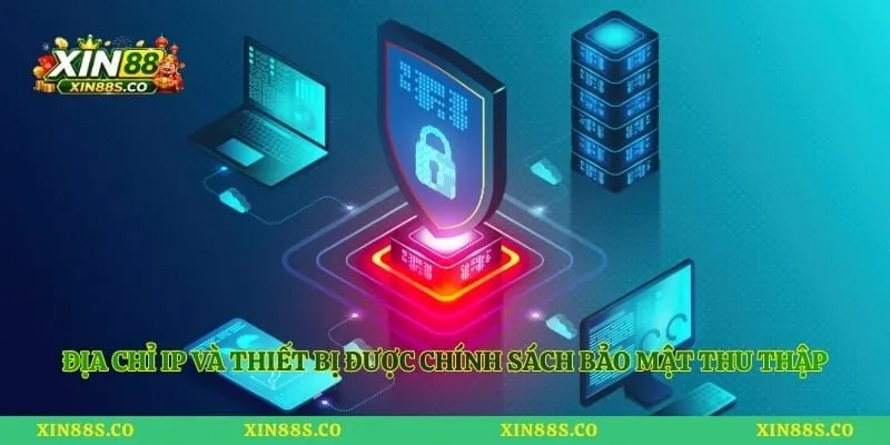 Địa chỉ IP và thiết bị được chính sách bảo mật thu thập công khai