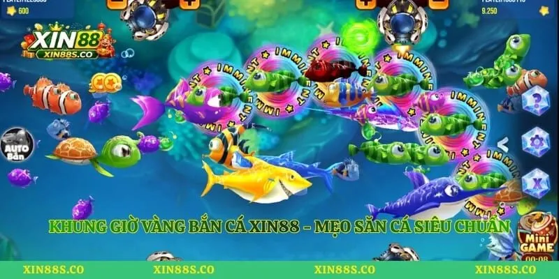 Khung Giờ Vàng Bắn Cá Xin88 - Mẹo Săn Cá Siêu Chuẩn
