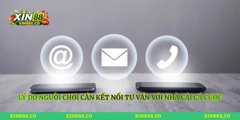 Lý do người chơi cần kết nối tư vấn với nhà cái cá cược