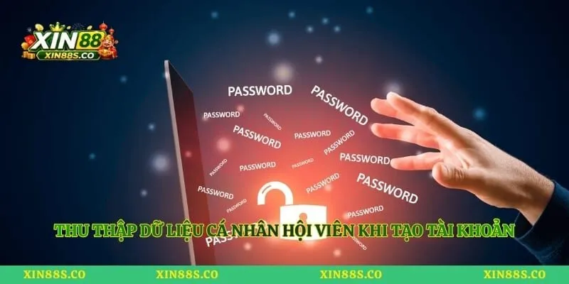 Thu thập dữ liệu cá nhân hội viên khi tạo tài khoản