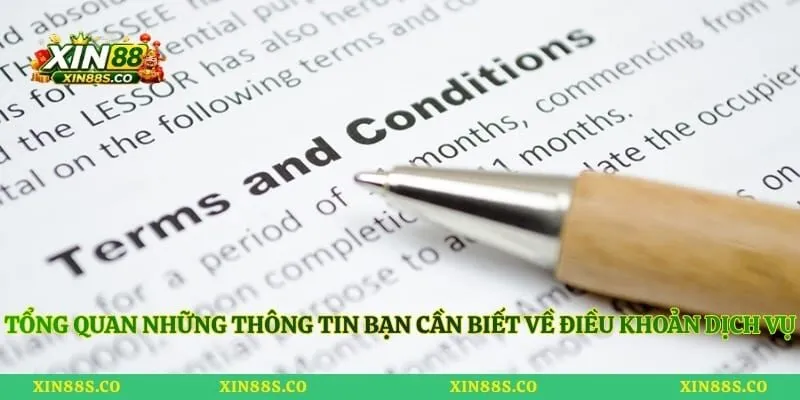 Tổng quan những thông tin bạn cần biết về điều khoản dịch vụ